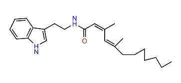 Granulatamide B